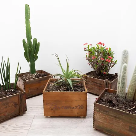 דירה Walled Garden - The Tom's Private Oasis