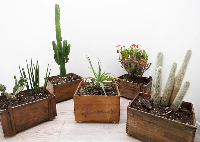 Lejlighed Walled Garden - The Tom's Private Oasis